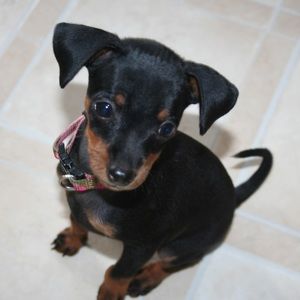 Meet your Posher, Shaela